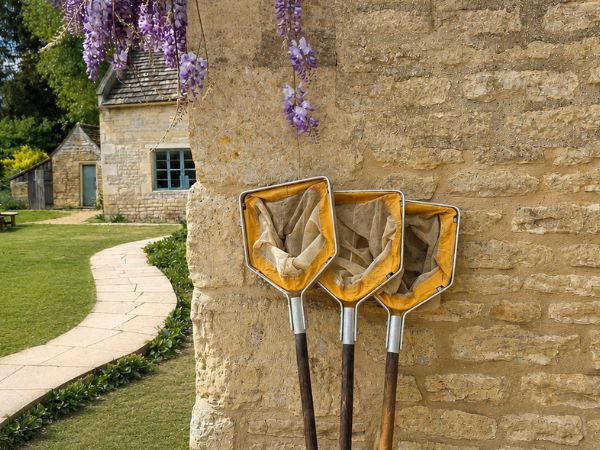 Pond dipping nets beside a historic stone wall at Sacrewell, with purple wisteria flowers and countryside paths in the background.