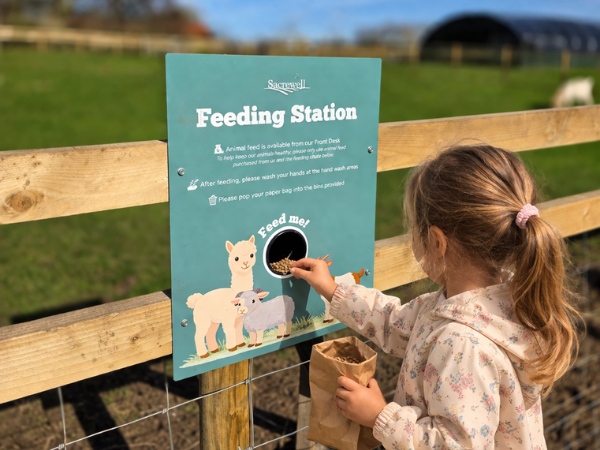 girl placing animal feed in a feeding chute. 